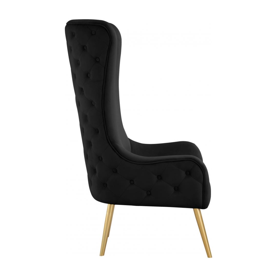 Alexander Black Velvet Accent Chair