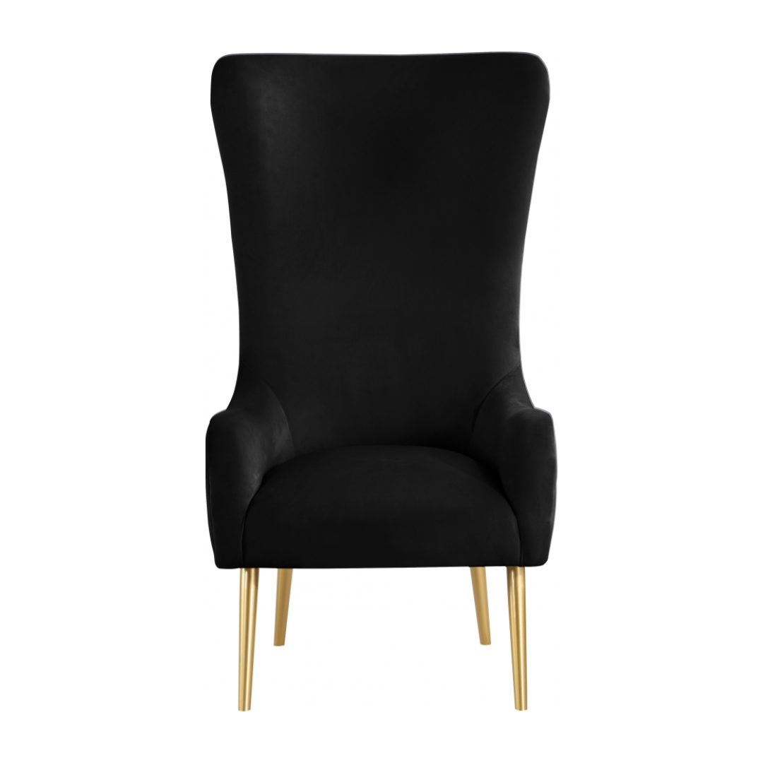 Alexander Black Velvet Accent Chair