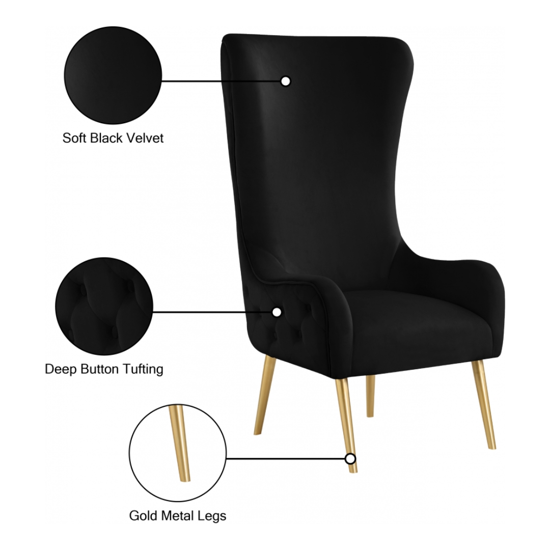 Alexander Black Velvet Accent Chair