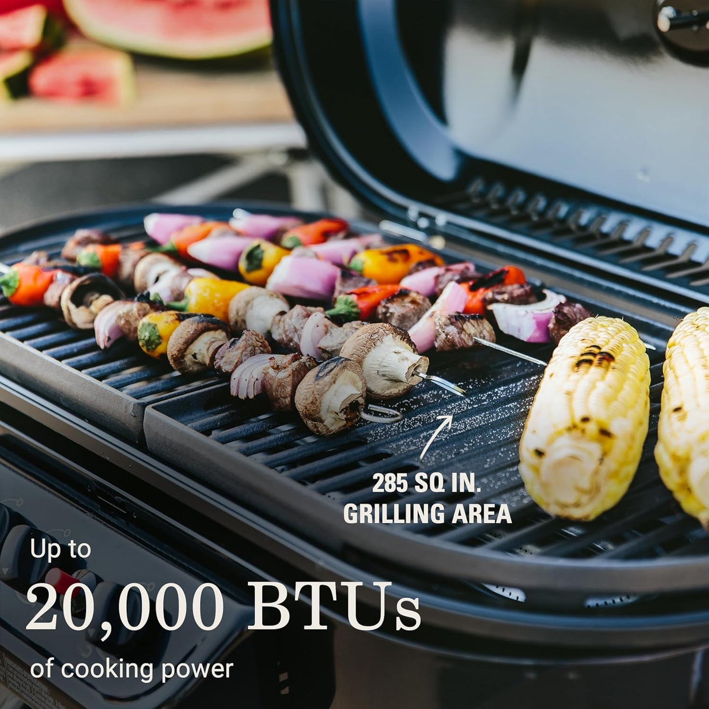 The Coleman Portable Stand-Up Propane Outdoor Grill 